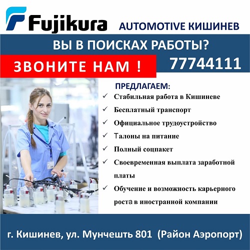 Automotine Кишинев. Работа в престижной компании. Официальное трудоустройство в Молдове. Хорошая зарплата ПМР.
